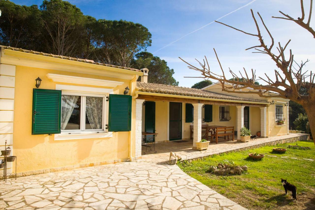 Pine Forest By Corfuεscapes Villa *